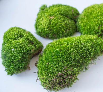 DECO NATURE FOREST MOSS - Субстрат из зеленого лесного мха, 1л, ведро